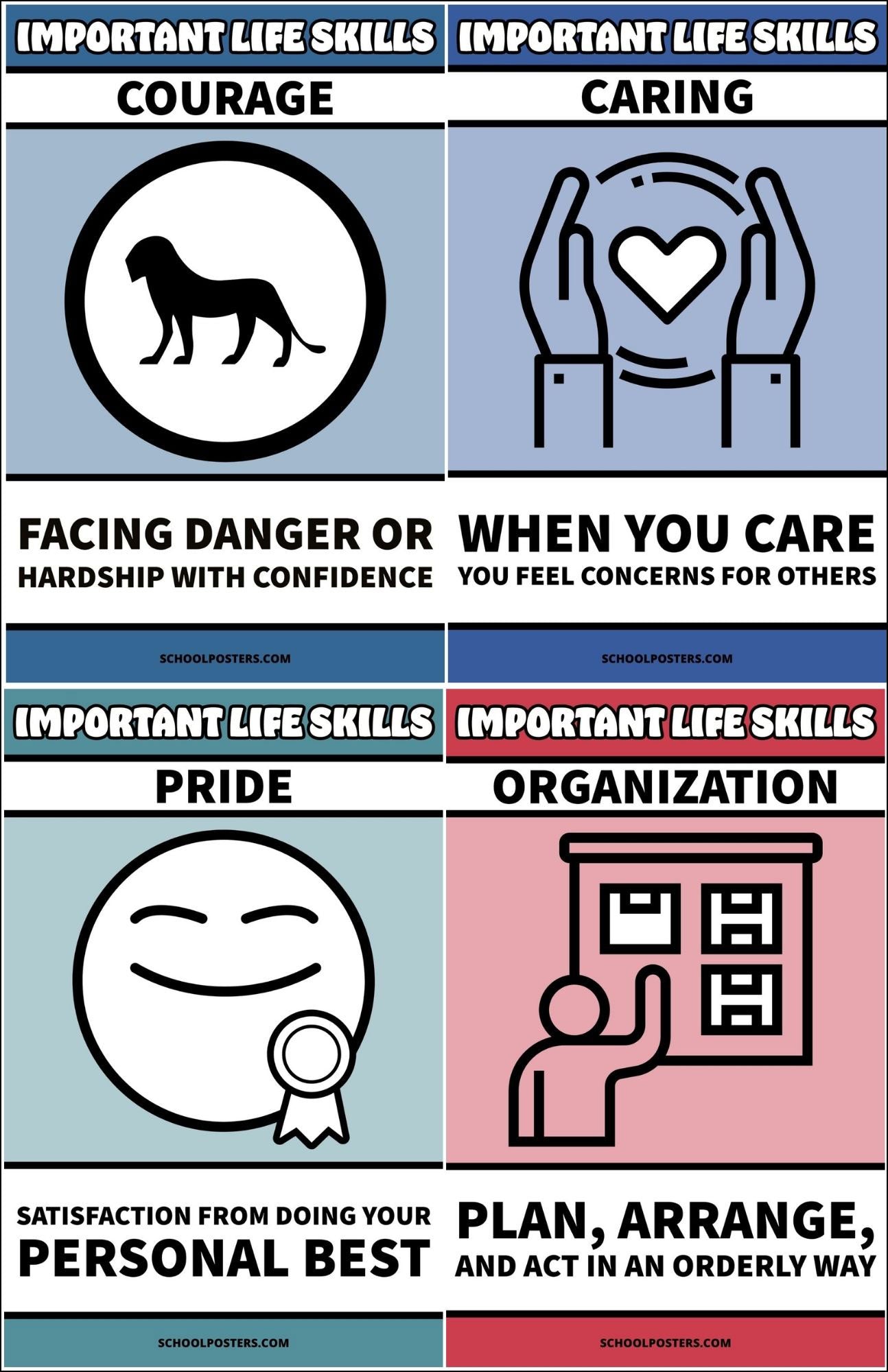 Important Life Skills Poster Package