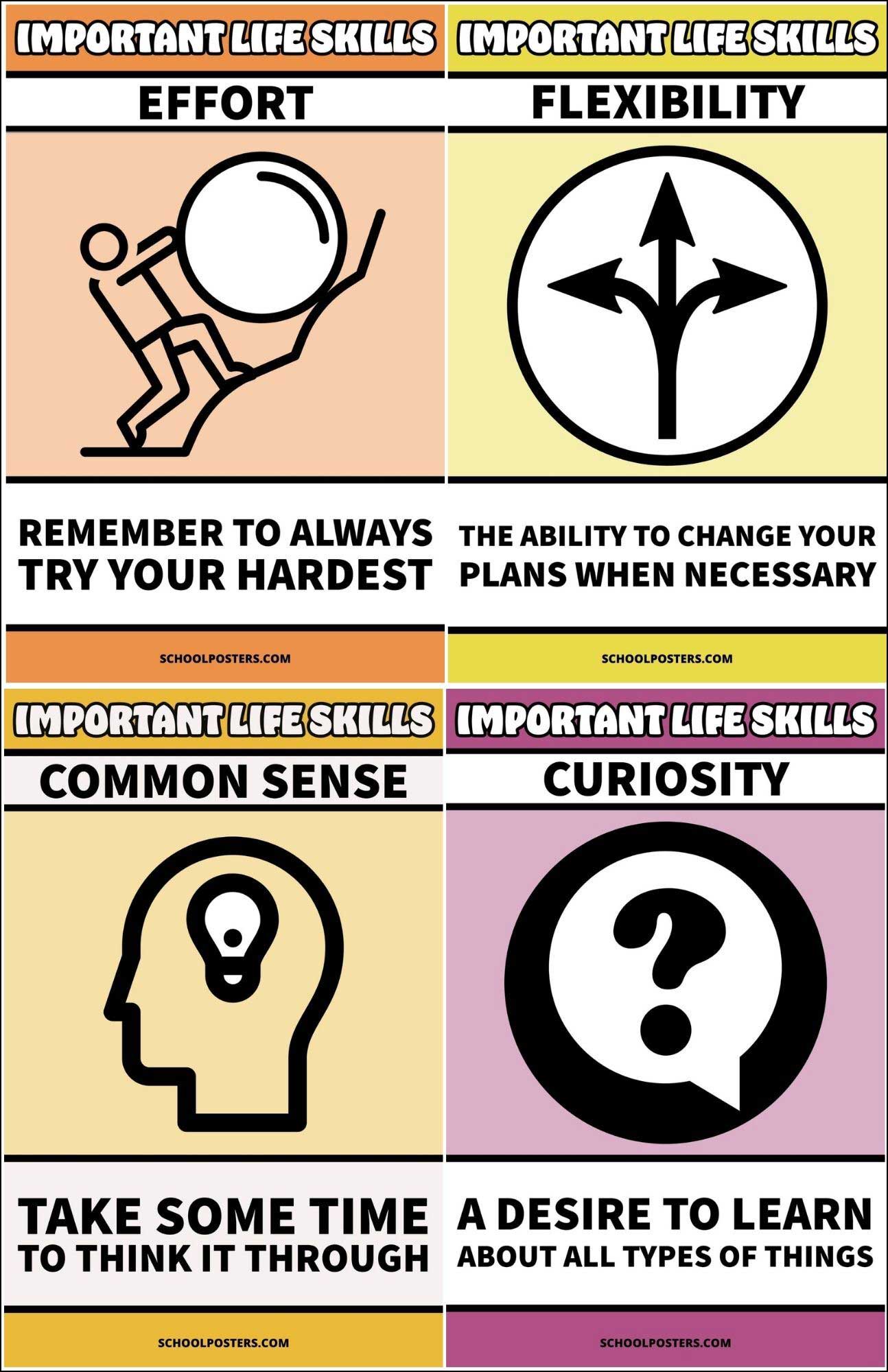 Important Life Skills Poster Package