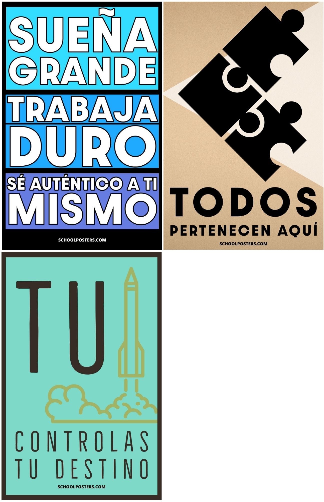 Spanish Middle School Poster Package (Set Of 15)