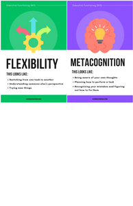 Executive Functioning Skills Poster Package