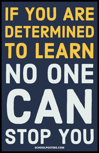 If You Are Determined To Learn Poster