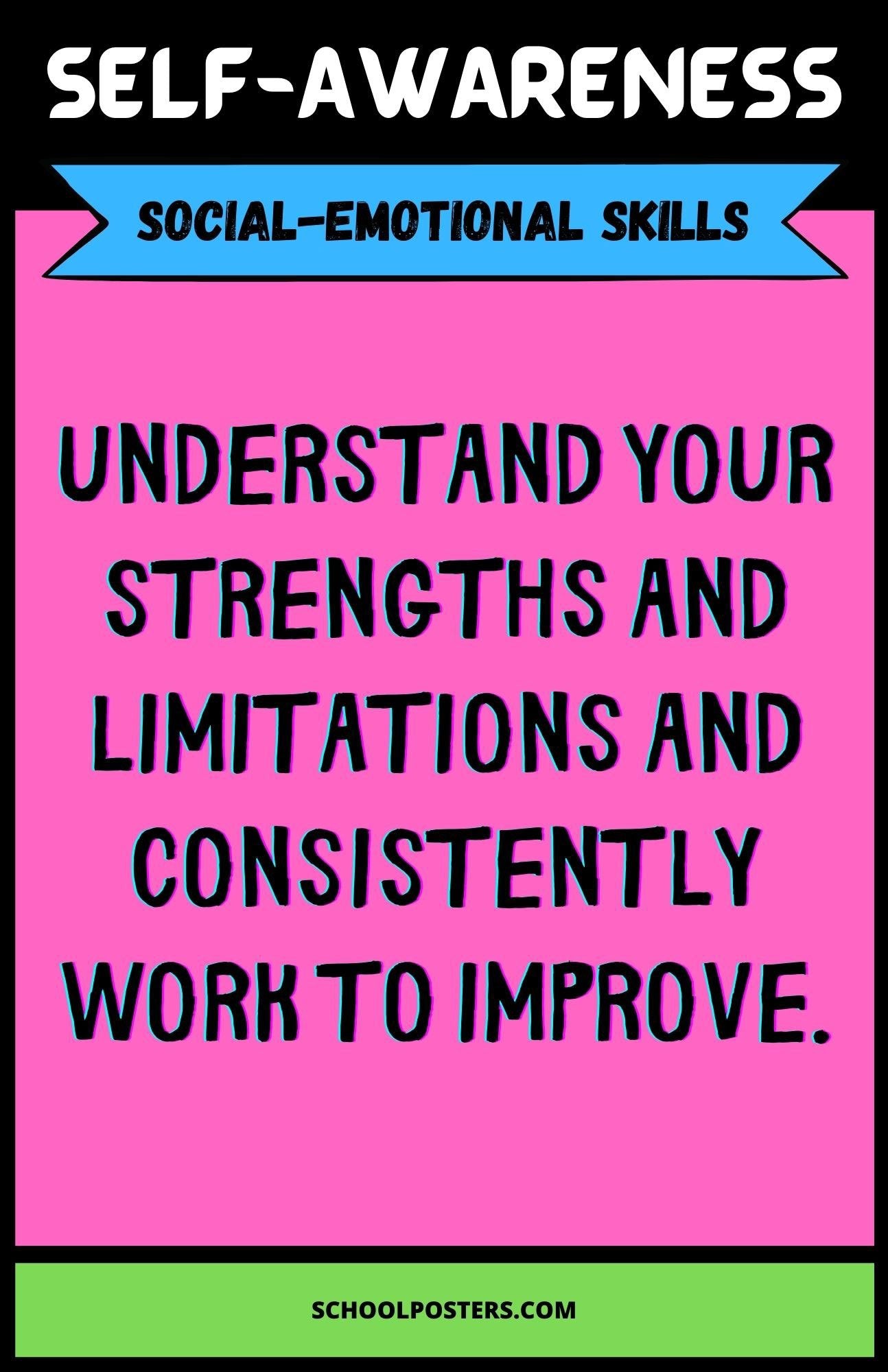 Self Awareness Social Emotional Skills Poster