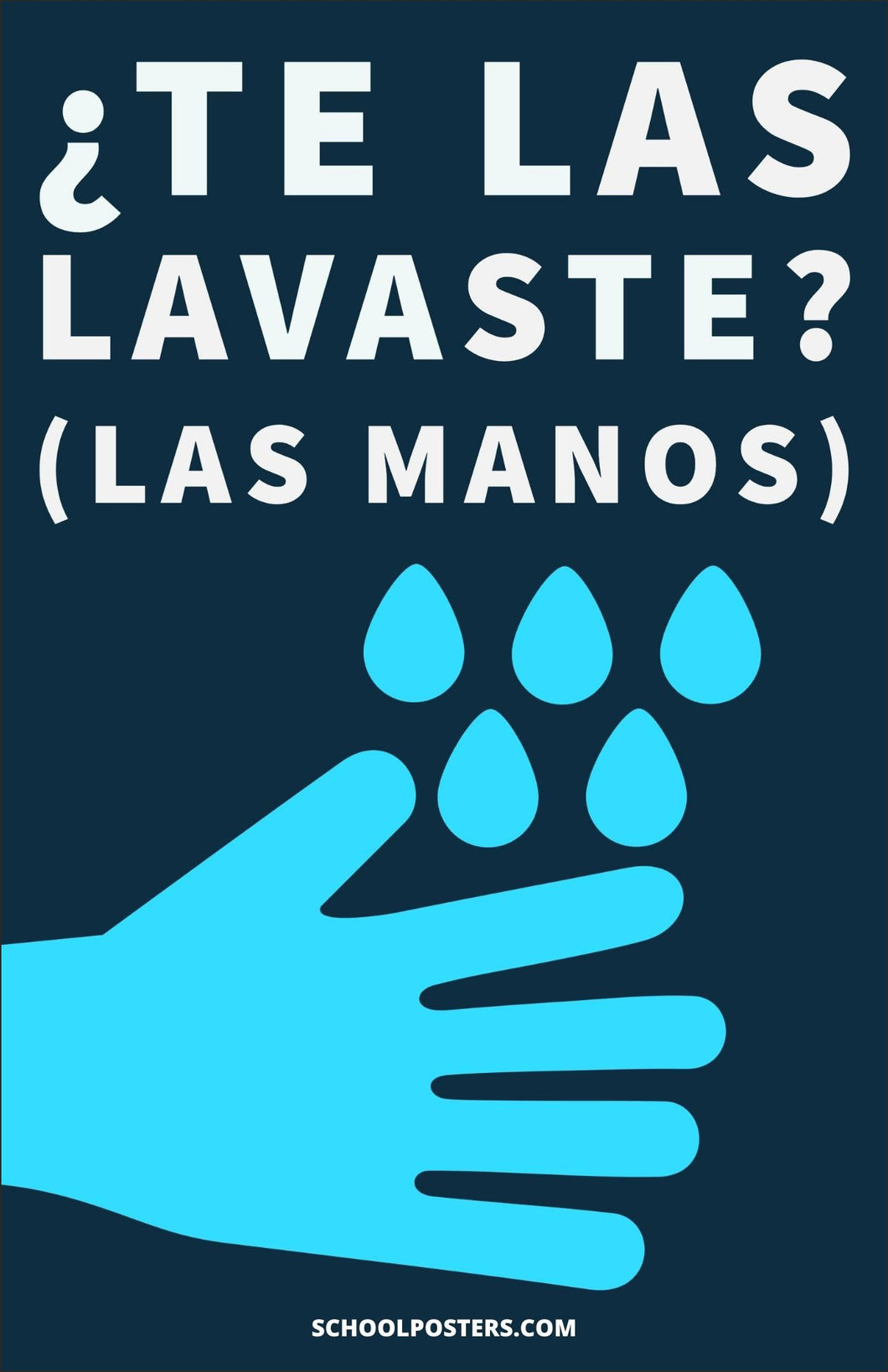 Spanish: Did You Wash Them? Poster